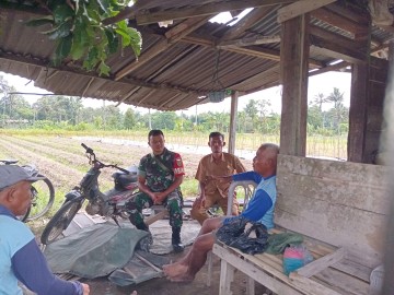Babinsa Koramil 406-06/Tugumulyo Serda Syukra Dede Melaksanakan Komsos Bersama Warga Diwilayah Binaan.