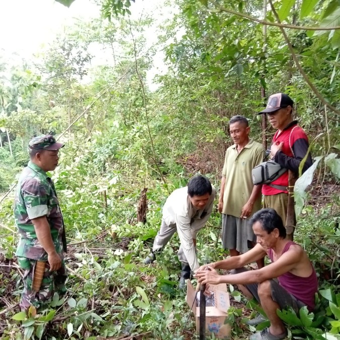 Sertu amron musalisa sambangi masyarakat yg sedang membuka lahan pertanian
