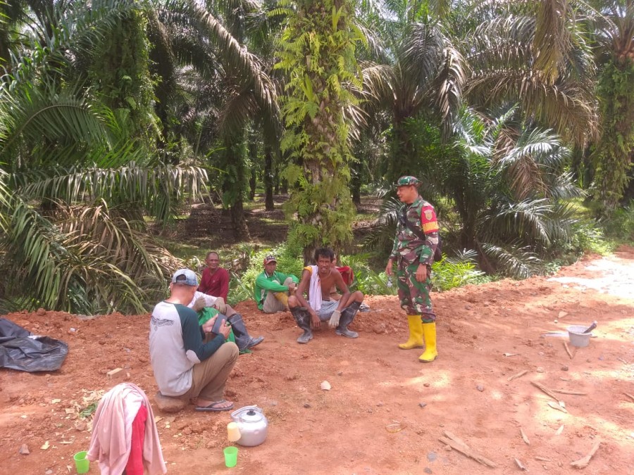 Komsos Dengan Petani Sawit Babinsa Koramil 04/Muara Lakitan Ingatkan Tentang Keselamatan Kerja