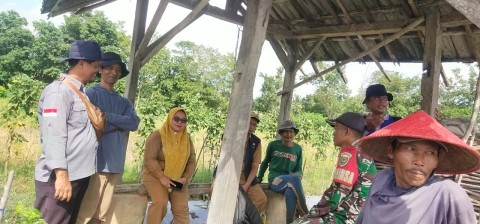 Babinsa Komsos Dengan Petani, Sebagai Wujud Kepedulian Guna Meningkatkan Hasil Pertanian