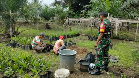 Babinsa Jalin Komsos Bersama Petani Sawit Warga Desa Binaan