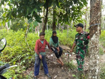Babinsa Koramil 406-04/Muara Lakitan Sambangi Petani Karet di wilayah binaan