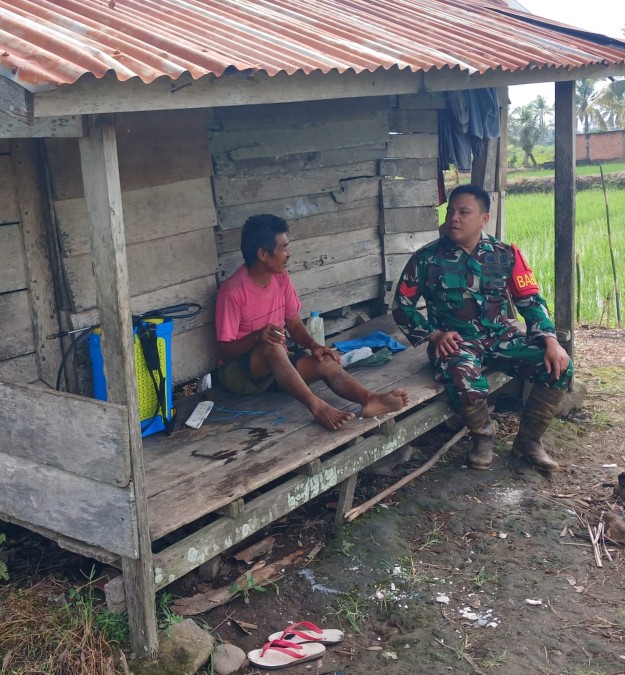 Babinsa Koramil 406-07/jayaloka Komsos Dengan Petani Padi Di Wilayah Desa Binaan.