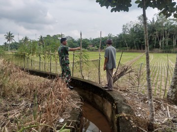 Dengan Menggunakan Pompa Air Babinsa Koramil 406-05/Muara Kelingi Bantu Petani Yang Kekurangan Air
