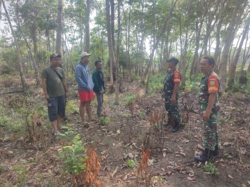 Babinsa Koramil 406-09/Terawas Melaksanakan Patroli Karhutla Di Wilayah binaan