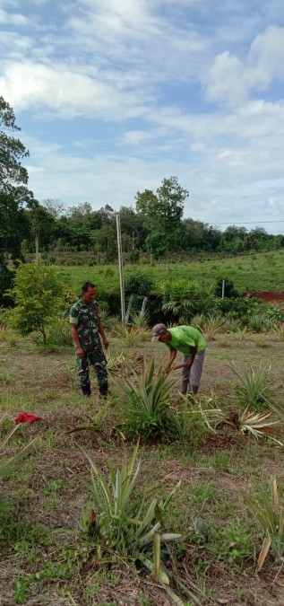 Babinsa Koramil 06/Tugumulyo jalin Komsos Dengan Petani di wilayah Desa Binaan