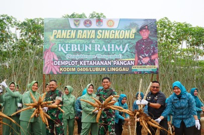 Panen Raya Singkong di Demplot Ketahanan Pangan Kodim 0406 Lubuk Linggau dihadiri langsung Oleh Pangdam II Sriwijaya