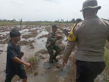 Gerak cepat babinsa Koramil 406-06/Tugumulyo Bantu Evakuasi Mayat Balita yang Tenggelam di Desa Air Lesing