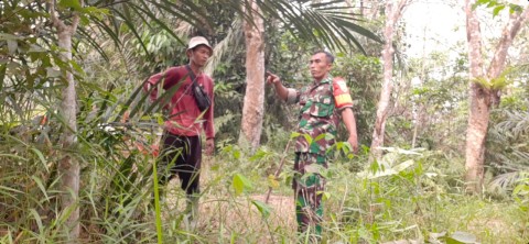 Babinsa Koramil 406-04/Muara Lakitan Serka Bambang Irawan Jalin Komunikasi Sosial dengan Masyarakat Petani Sawit di Desa Binaan