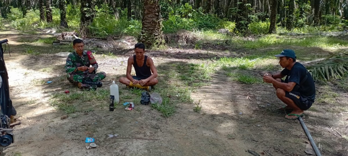 Babinsa Koramil 406-04/Muara Lakitan Serka Yunistan Lakukan Komsos dengan Petani Kelapa Sawit, Sosialisasikan Karhutbunla dan Keamanan Kerja