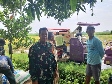 Babinsa Koramil 406-09/Terawas Pantau Penggunaan Alsintan Pasca Panen.