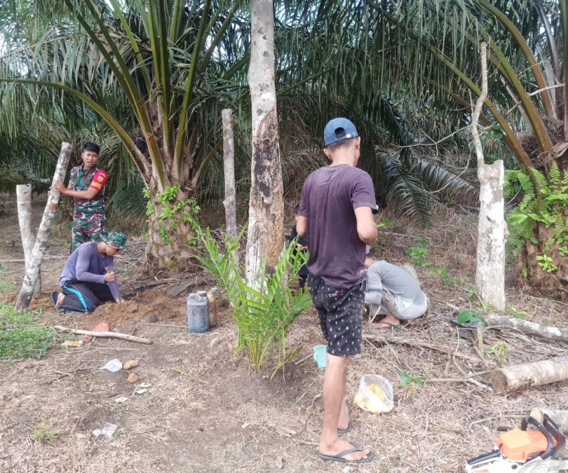 Babinsa Koramil 406-01/Rawas Ulu Sertu Didi Handiki Laksanakan Komsos di Desa Muara Kuis