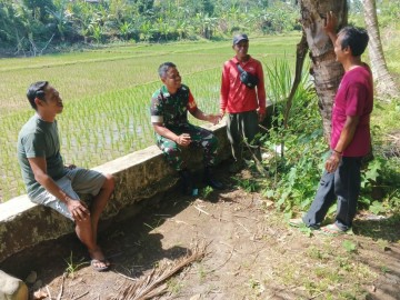 Babinsa Koramil 406-08/Lubuk Linggau Lakukan Komsos Bahas Kondisi Pertanian.