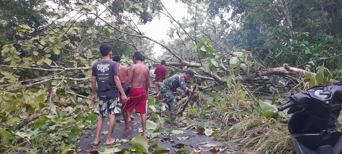Babinsa Koramil 406-06/Tugumulyo Bantu Warga Atasi Pohon Tumbang