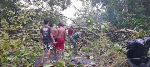 Babinsa Koramil 406-06/Tugumulyo Bantu Warga Atasi Pohon Tumbang