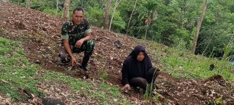 Pantau Berkebunan, Pelda Lukman Himbau Warga Tidak Sembarangan Membakar Hutan Di Area Perkebunan.