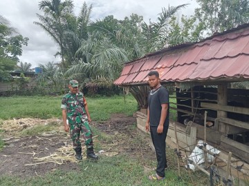 Babinsa Koramil 406-07/Jayaloka Jalin Komsos dengan Masyarakat Peternak sapi di Desa Rantau Alih