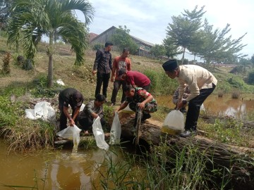 Babinsa Koramil 406-01/Rawas Ulu Bersama Dinas Perikanan Tabur Bibit Ikan Patin di Desa Simpang Nibung
