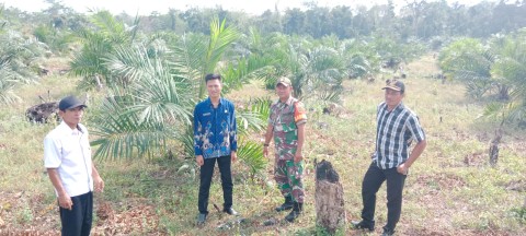 Babinsa Koramil 406-07/Jayaloka Sertu M. Daud Jalin Komsos dengan Petani Sawit di Desa binaan