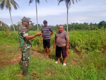Serda Sugiarto, Babinsa Koramil 406-01/Rawas Ulu, Dampingi Petani Desa Sungai Baung Tingkatkan Hasil Pertanian