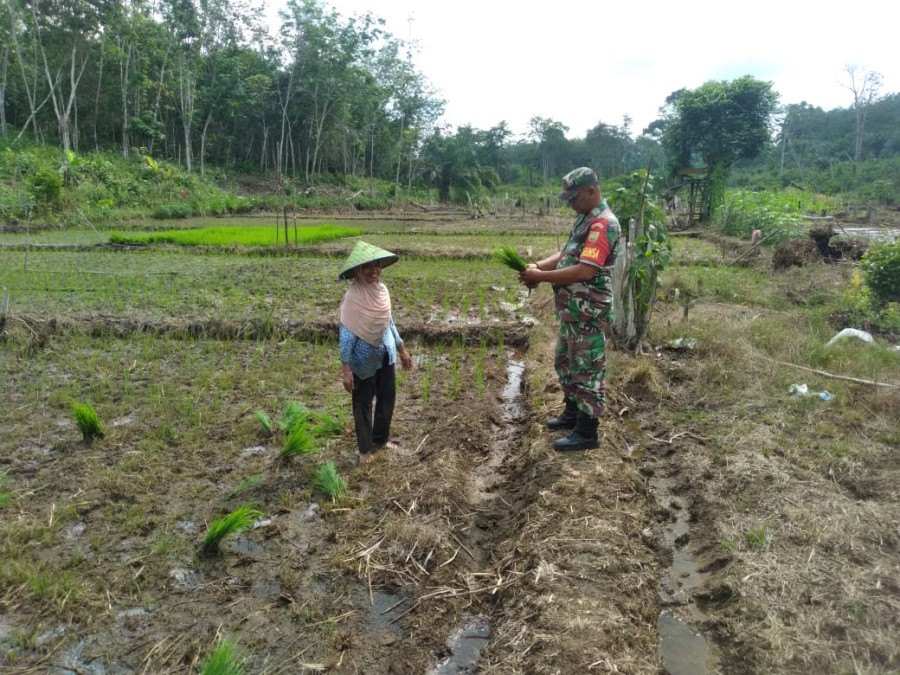 Babinsa Koramil 406-07/Jayaloka Jalin Komsos dengan Petani di Desa Suka Rena