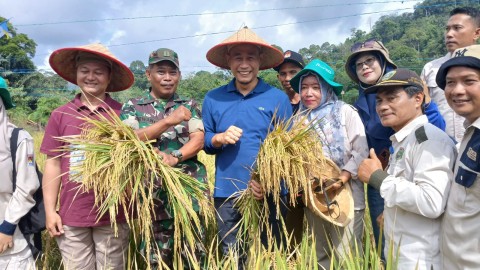 Pelda Irwanto Hadiri Syukuran dan Panen Bersama Kelompok Tani Mandiri