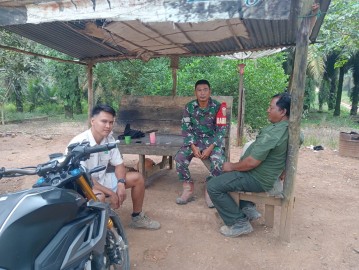 Babinsa Koramil 406-02/Rawas Ilir Tinjau Pengelolaan Lahan Pertanian di Desa Beringin Sakti