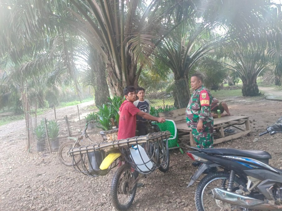 KOPTU DESI BABINSA KORAMIL 406-03/RUPIT LAKSANAKAN KOMUNIKASI SOSIAL DI DESA PANTAI