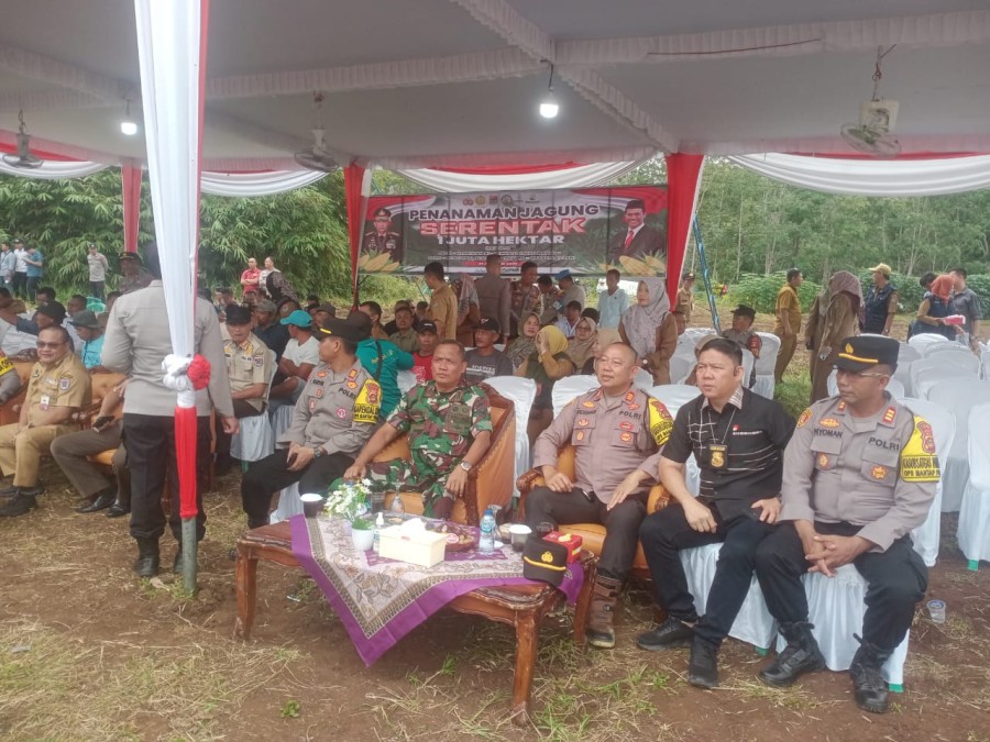 Danramil 406-10/Lubuk Linggau Timur Hadiri Kegiatan Penanaman Jagung Serentak 1 Juta Hektar