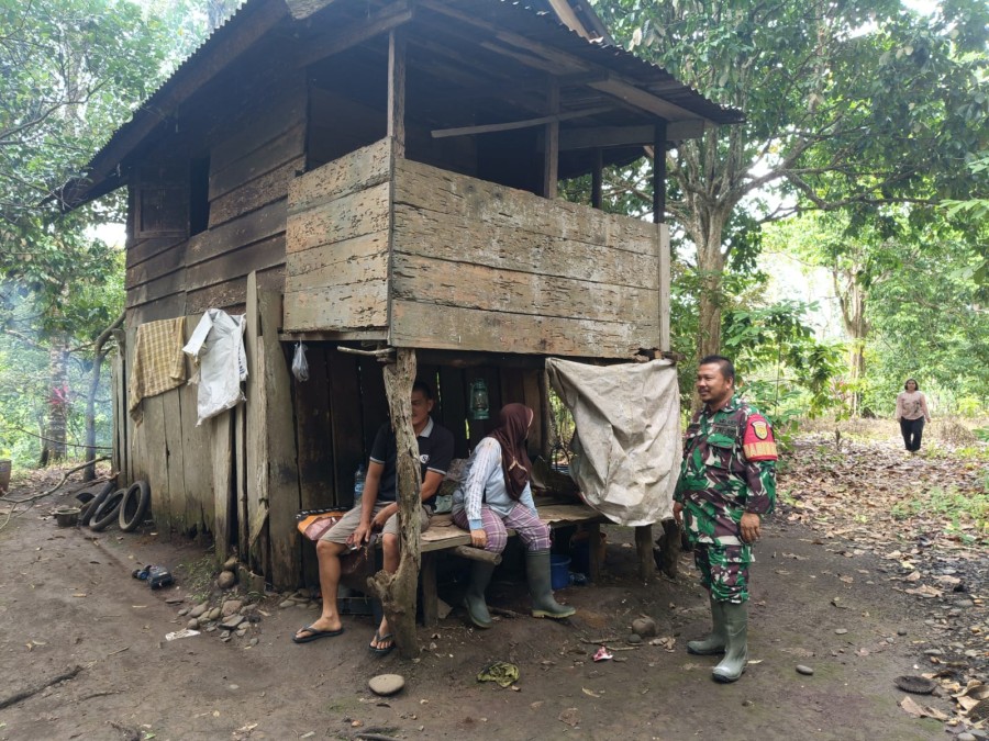 Babinsa Koramil 406-09/Terawas Koptu Mushar Laksanakan Komsos Bersama Petani Durian di wilayah binaan