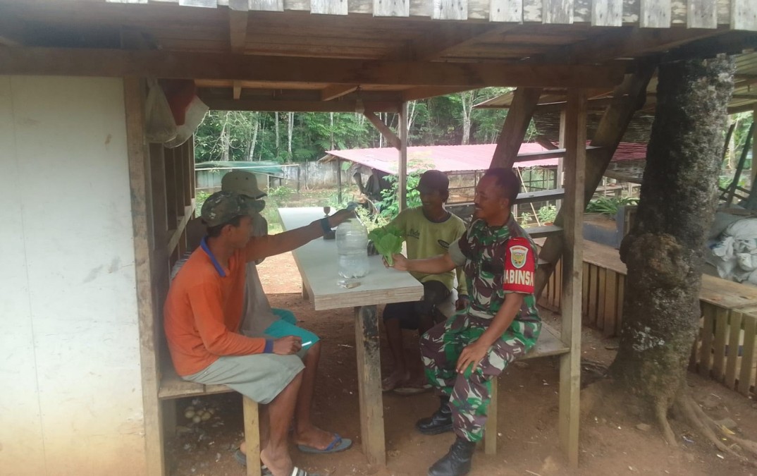 Babinsa Koramil 406-10/Lubuk Linggau Timur Jalin Komunikasi dengan Petani di Pondok Area Pertanian