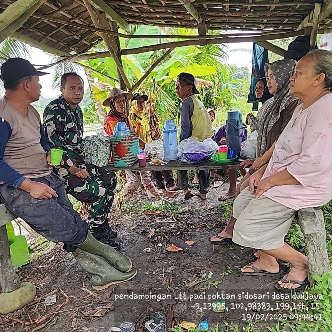 Babinsa Koramil 406-06/Tugumulyo Monitoring Pendampingan PPL di Desa Dwijaya