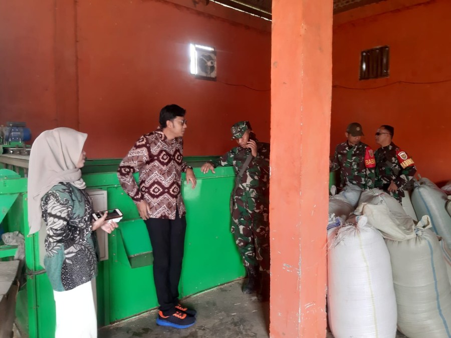 Babinsa Koramil 406-06/Tugumulyo Dampingi Tim Bulog Kabupaten dalam Peninjauan Serapan Gabah di Desa Air Satan