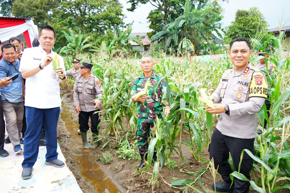 Kasdim 0406/Lubuk Linggau Hadiri Panen Raya Jagung Serentak Tahap I Gugus Tugas Polri