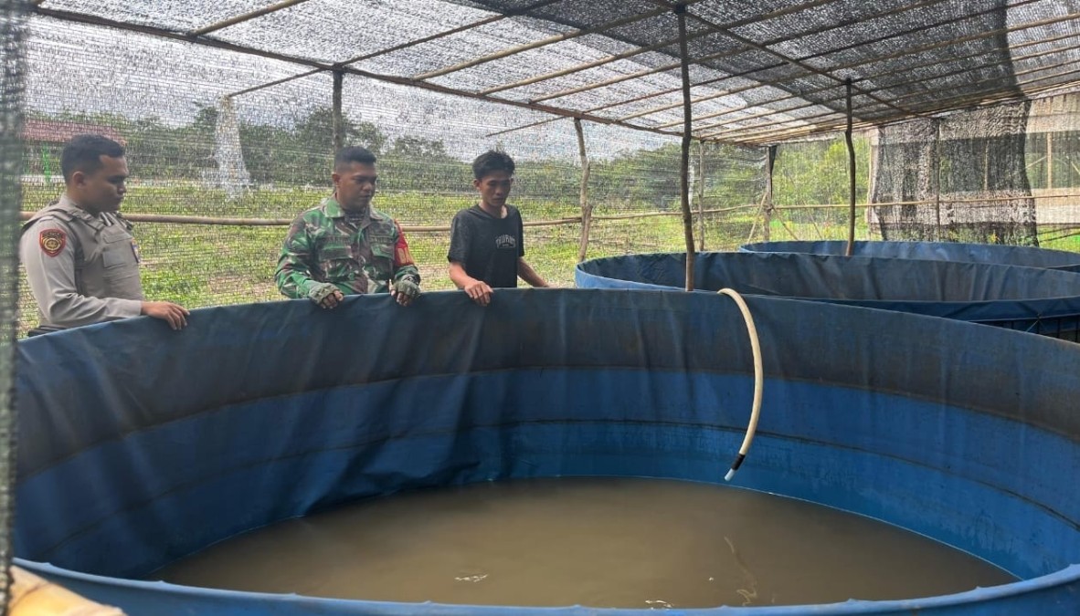 Serda Ichsan Babinsa Koramil 406-03/Rupit Bersama Bhabinkamtibmas Tinjau Budidaya Ikan di Desa Embacang, Karang Jaya