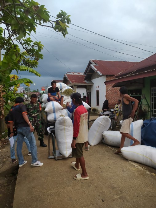 Wujudkan Program Ketahanan Pangan, Babinsa Dampingi Petani Salurkan Padi Hasil Panen ke Bulog