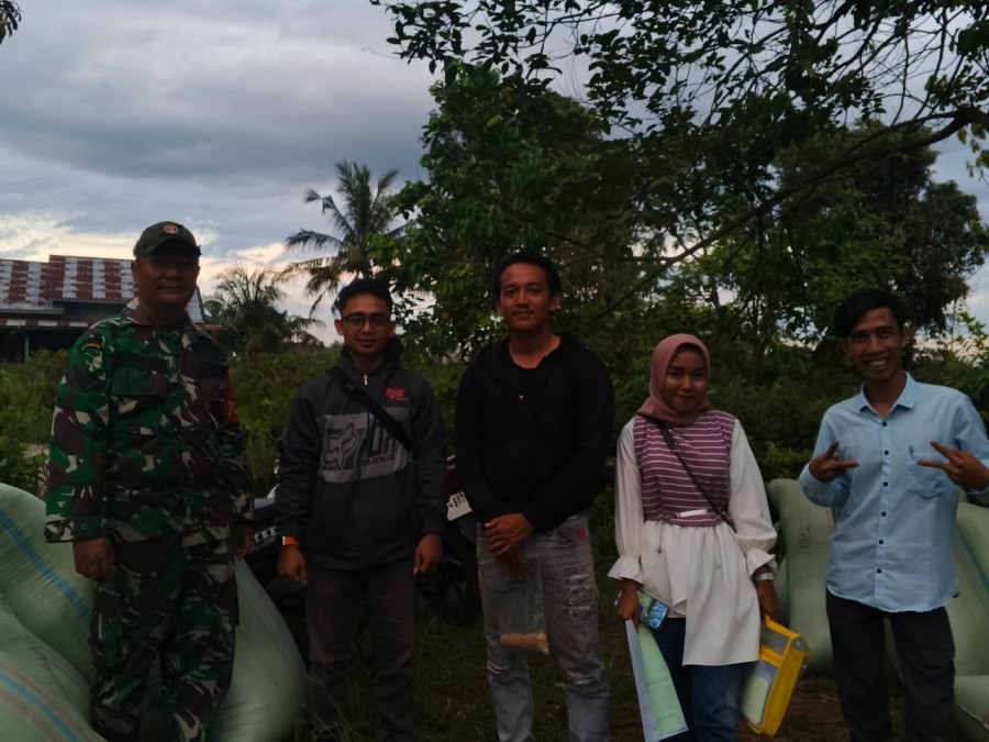 Babinsa Koramil 406-06/Tugumulyo Dampingi Petani dalam Panen Padi di Desa Air Lesing