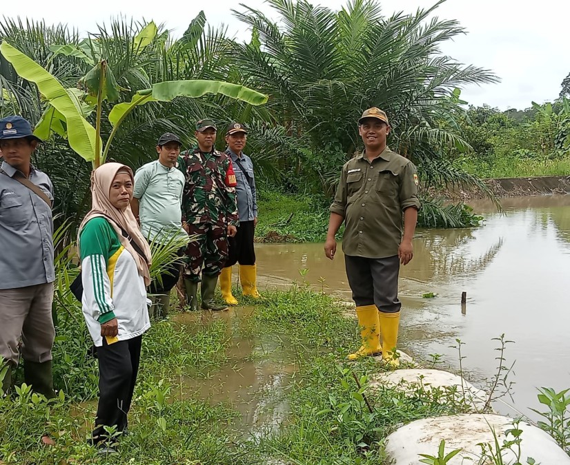 BABINSA KORAMIL 406-04/MUARA LAKITAN CEK ALIRAN SUNGAI MELUAP KE PERSAWAHAN MASYARAKAT