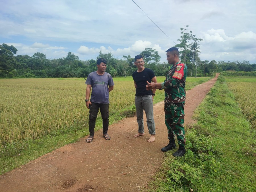 Babinsa Koramil 406-09/Terawas Ajak Warga Desa Sumber Karya Jaga Keamanan dan Perhatikan Harga Gabah