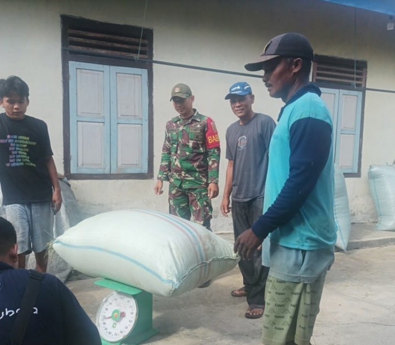 BABINSA KORAMIL 406-06/TUGUMULYO pantau penyerapan Gabah Kering Panen (GKP) di Desa Mataram