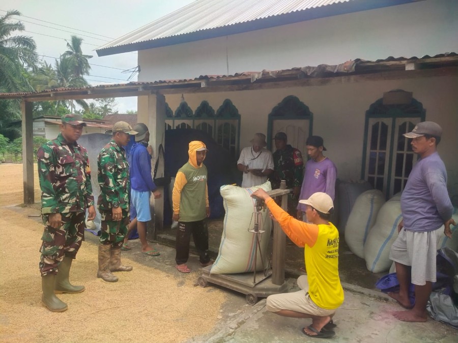 Babinsa Koramil 406-04/Muara Lakitan Laksanakan Serapan Gabah dan Jalin Silaturahmi dengan Warga