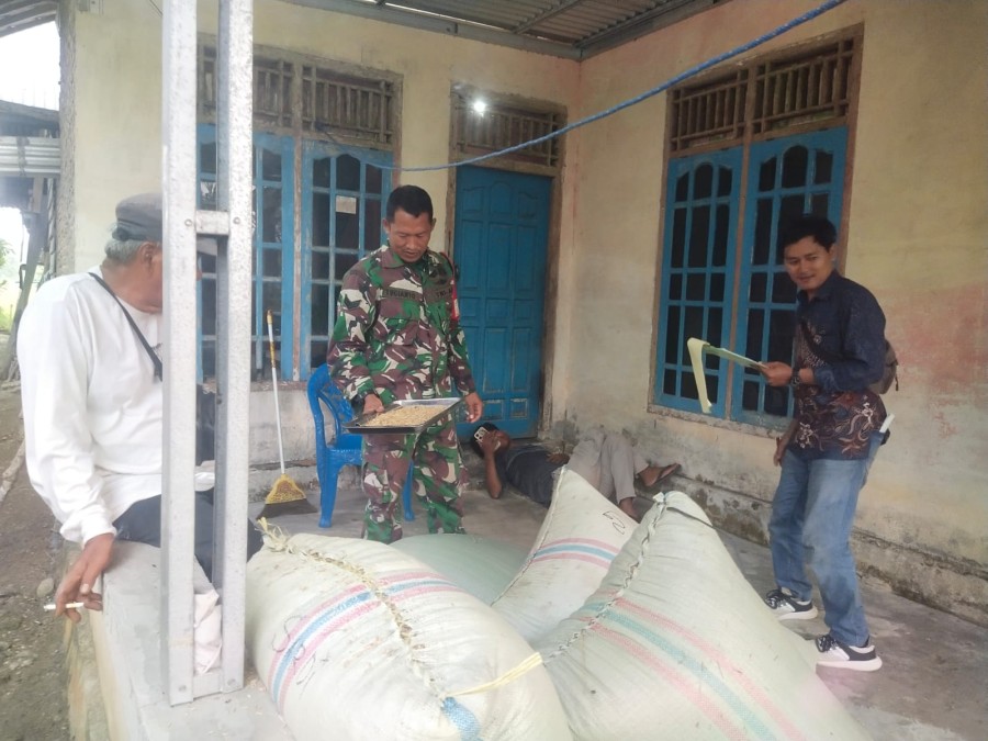 Babinsa Koramil 406-04/Muara Lakitan Laksanakan Serap Gabah dan Jalin Silaturahmi di Desa Sumberejo