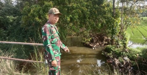 Sertu Roman Babinsa Koramil 406-06/Tugumulyo Lakukan Pengecekan Debit Air Rawa di Desa Sumbersari