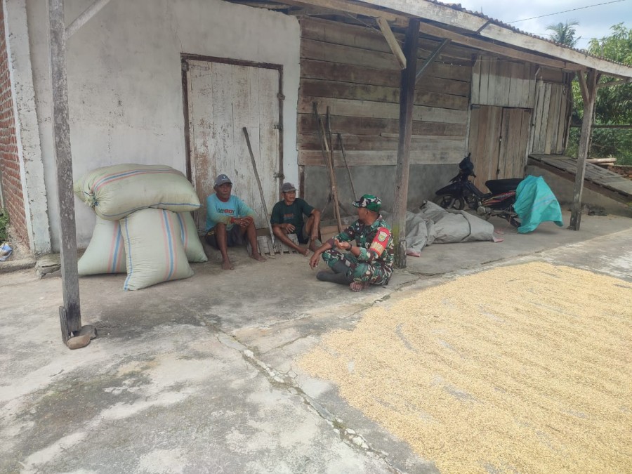 Babinsa Koramil 406-09/Terawas Sosialisasikan Harga Gabah kepada Petani di Desa Sumber Karya