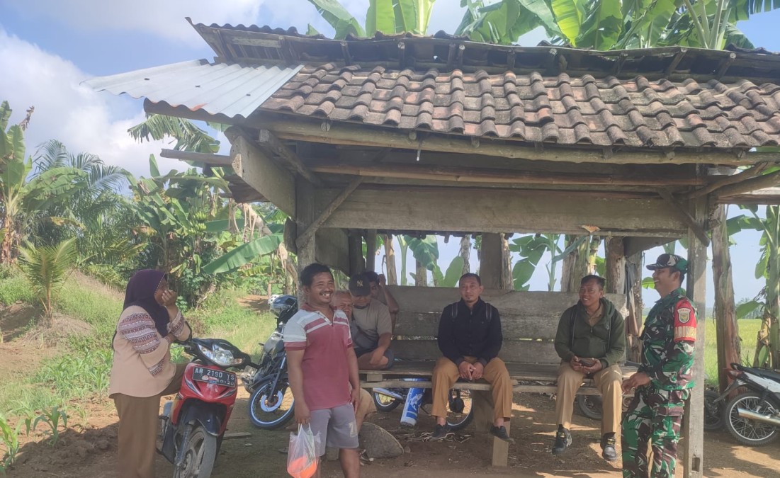 Babinsa Koramil 406-09/Terawas Sosialisasikan Harga Gabah kepada Petani di Desa Paduraksa