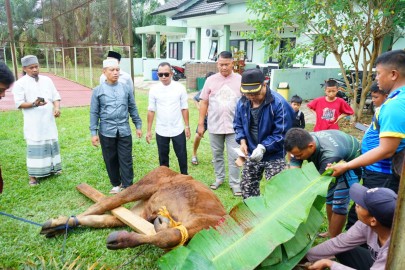 Dandim 0406/Lubuklinggau Tinjau Langsung Pemotongan Hewan Kurban di Asrama Kodim