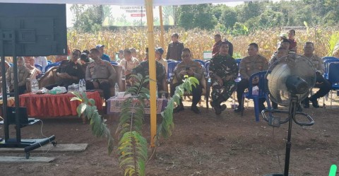 Danposramil Karang Jaya dan Babinsa Koramil 406-03/Rupit Hadiri Vidcon Panen Raya Jagung di Kecamatan Karang Jaya