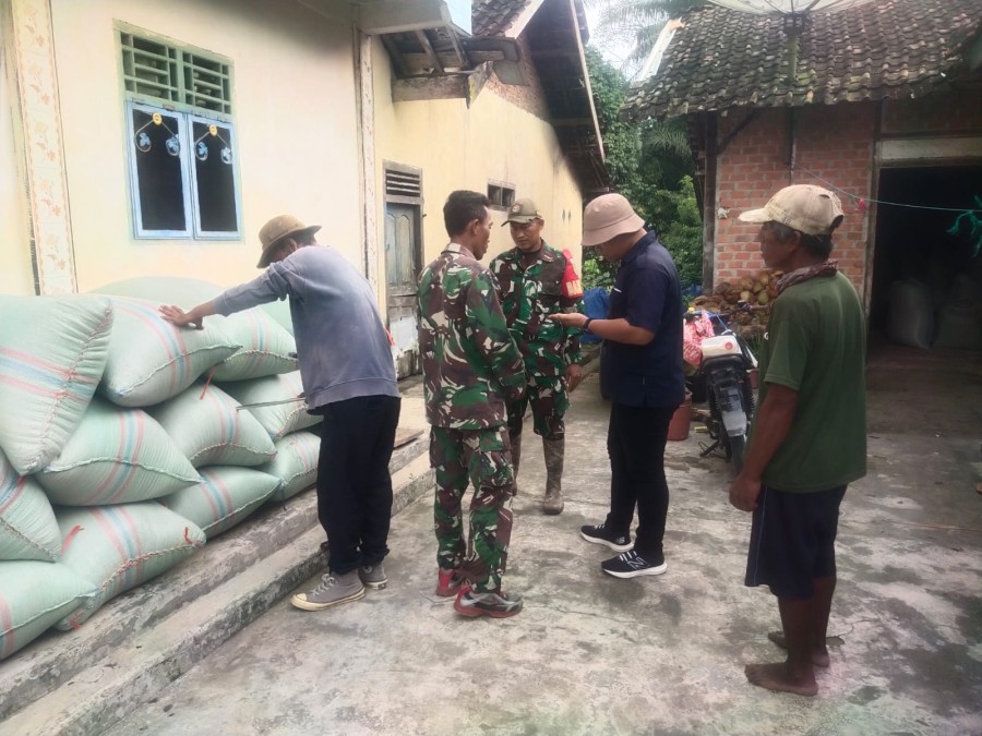 Babinsa Koramil 406-04/Muara Lakitan Laksanakan Komsos dan Serapan Gabah Bersama Warga Desa Sumberejo