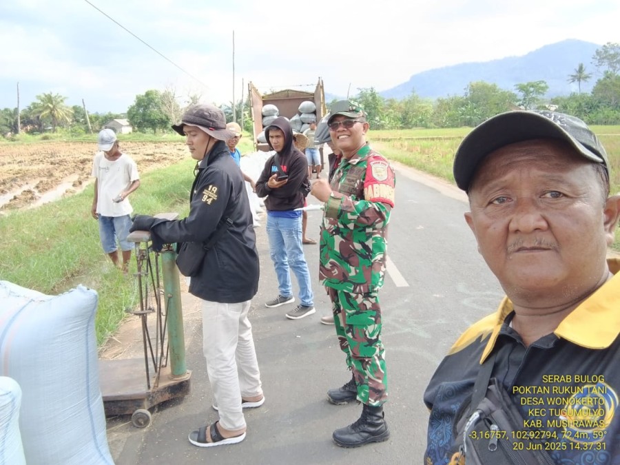 Babinsa Koramil 406-06/Tugumulyo Dampingi Serapan Gabah di Desa Wonokerto