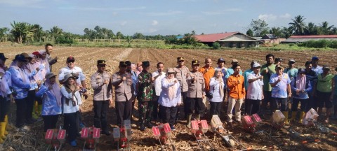 Danramil 406-06/Tugumulyo Hadiri Penanaman Jagung Serentak Tahun 2025